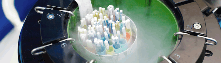 frozen empryos at alpha fertility centre 